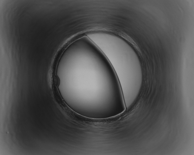 X0000099580436200805160749