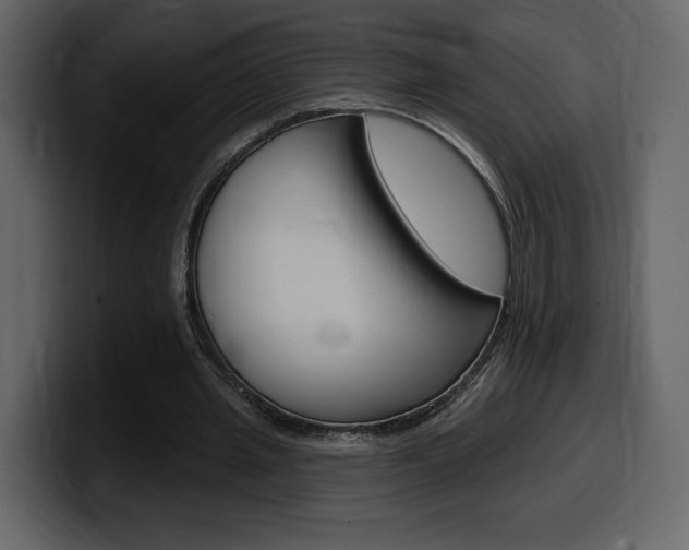 X0000099580437200805160749