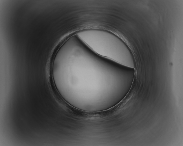 X0000099580438200805160749