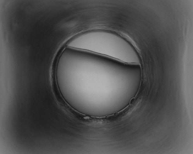 X0000099580439200805160749