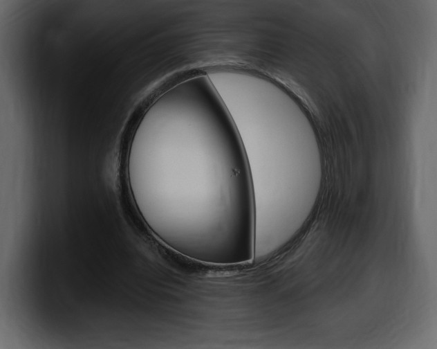 X0000099580440200805160749