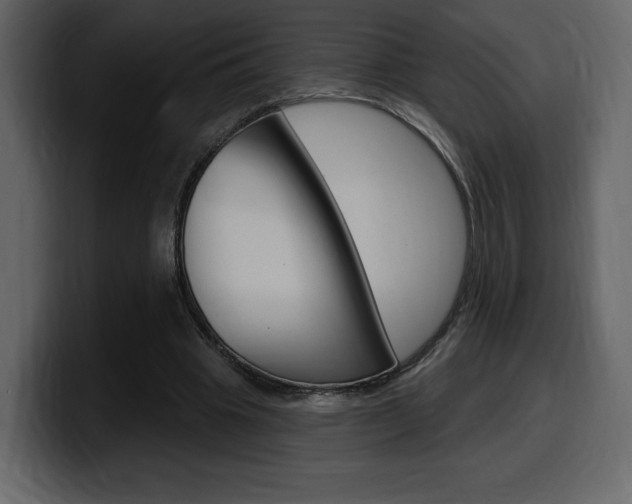 X0000099580441200805160749