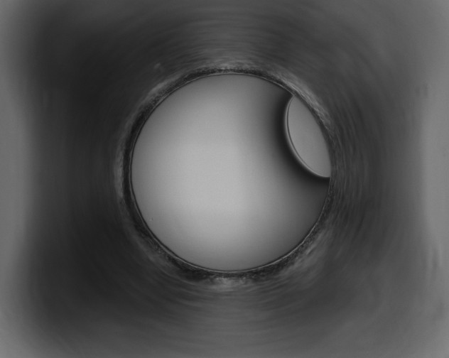 X0000099580442200805160749