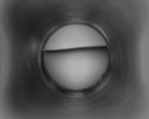X0000099580443200805160749