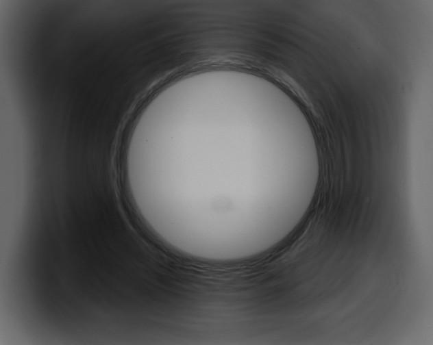 X0000099580444200805160749