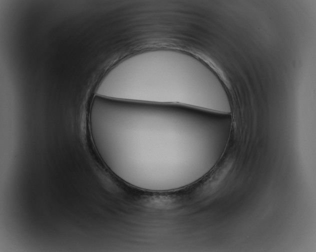 X0000099580445200805160749
