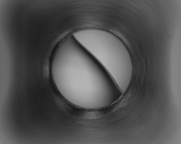 X0000099580446200805160749