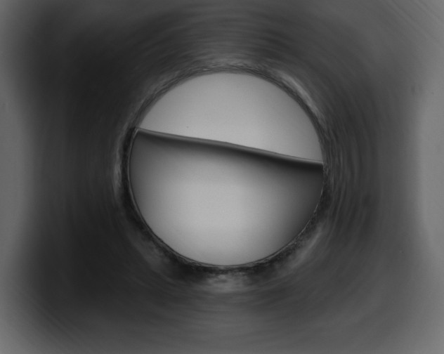 X0000099580447200805160749