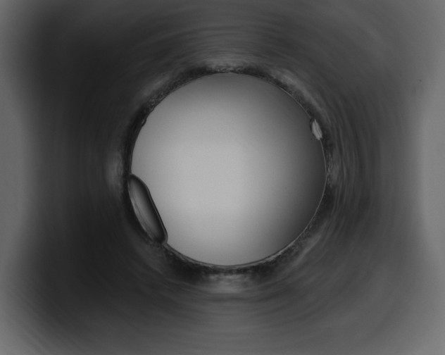 X0000099580448200805160749