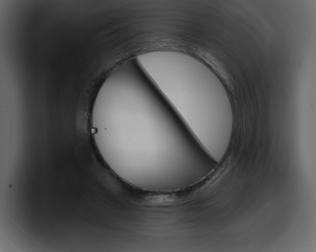 X0000099580449200805160749