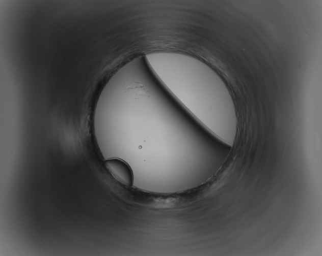 X0000099580450200805160749