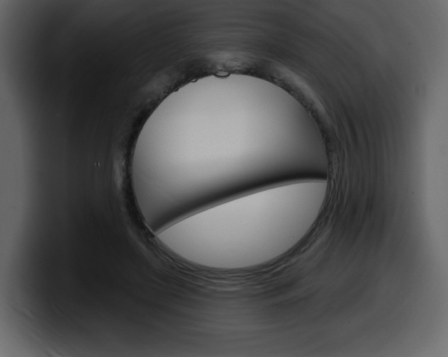 X0000099580451200805160749