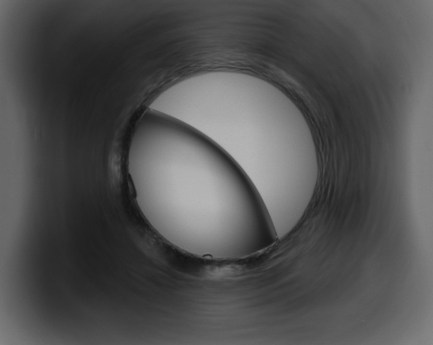 X0000099580452200805160749