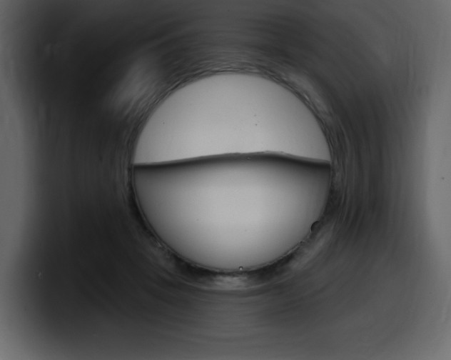 X0000099580457200805160749