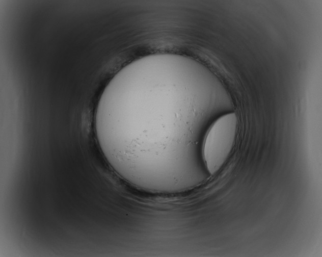 X0000099580458200805160749
