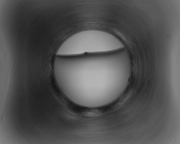 X0000099580459200805160749