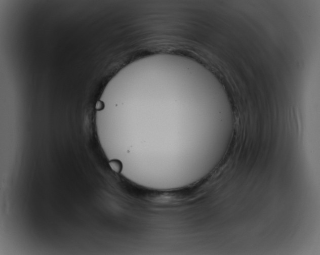 X0000099580460200805160749