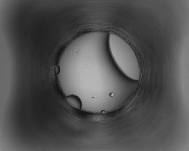 X0000099580462200805160749