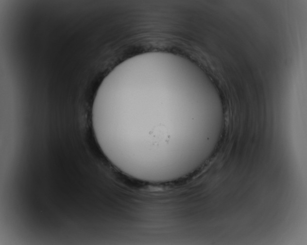 X0000099580464200805160749