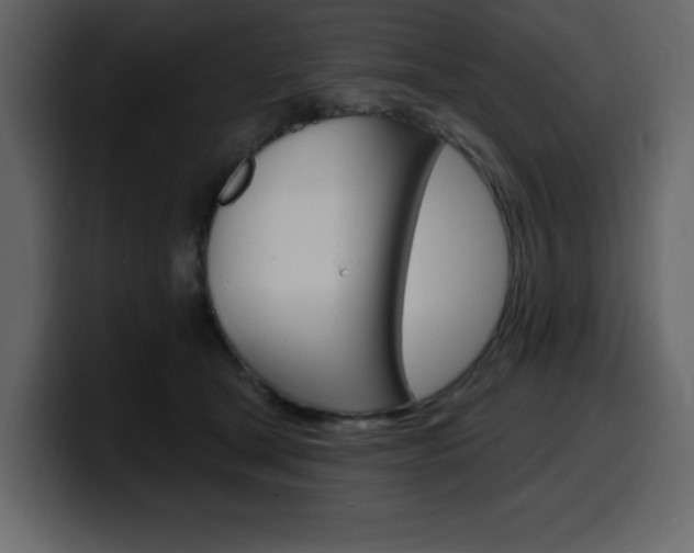 X0000099580465200805160749