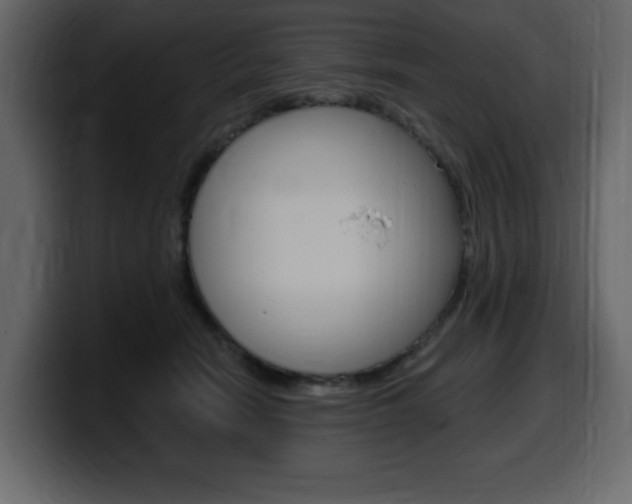 X0000099580466200805160749