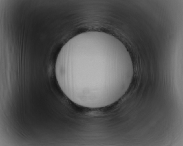 X0000099580468200805160749