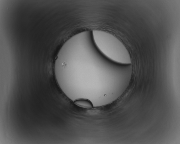 X0000099580470200805160749