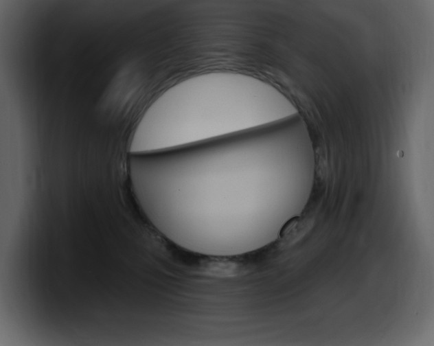 X0000099580471200805160749