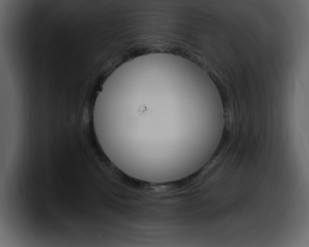 X0000099580472200805160749