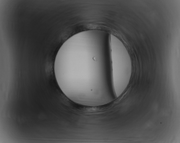 X0000099580473200805160749