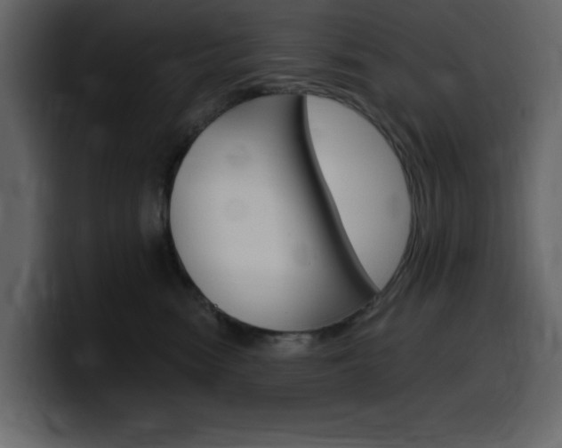 X0000099580474200805160749