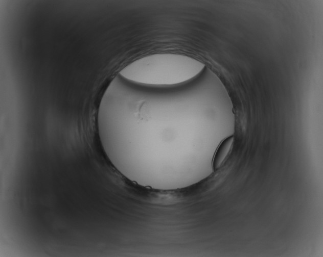 X0000099580475200805160749