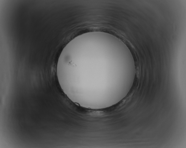 X0000099580476200805160749