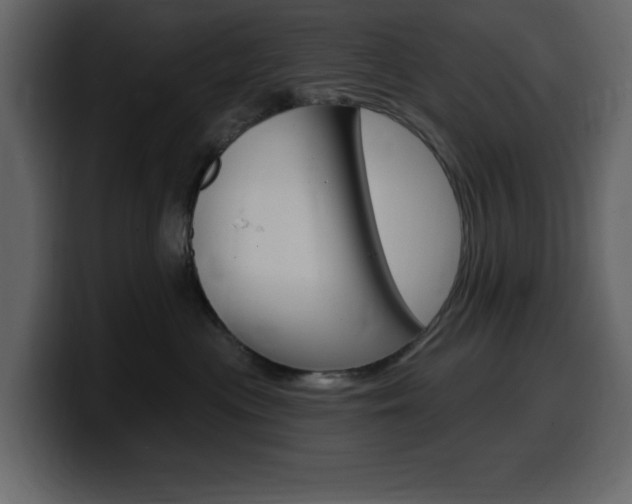 X0000099580477200805160749