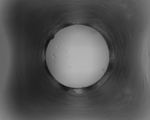 X0000099580478200805160749