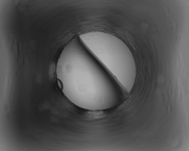 X0000099580480200805160750