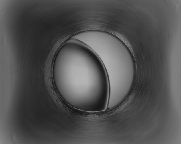 X0000099580481200805160749