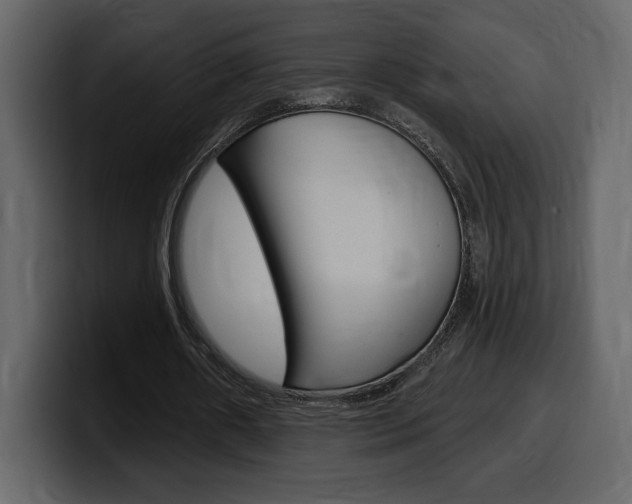 X0000099580482200805160749