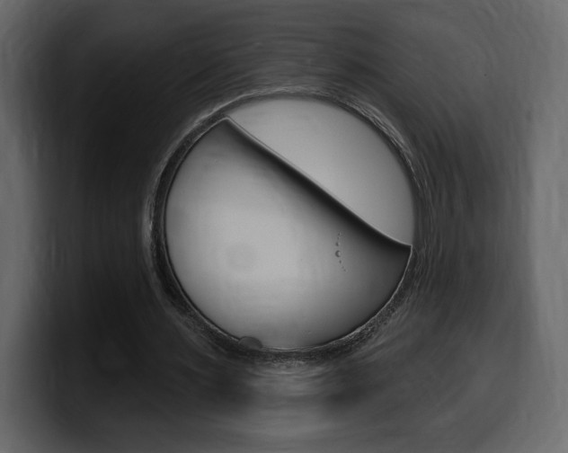 X0000099580483200805160749