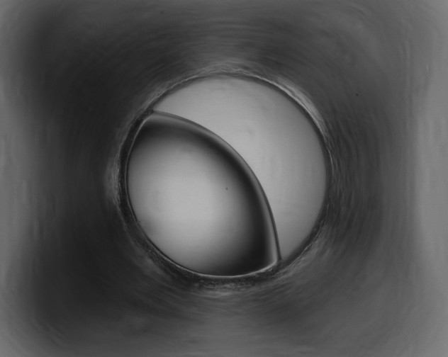 X0000099580485200805160749