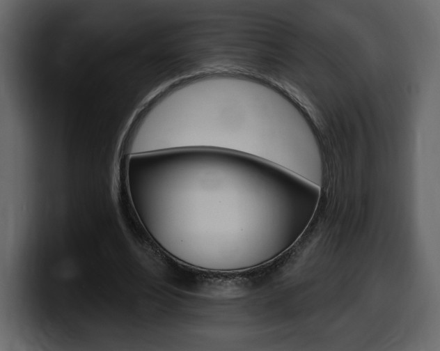 X0000099580488200805160749