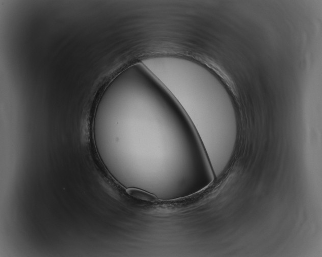 X0000099580489200805160749