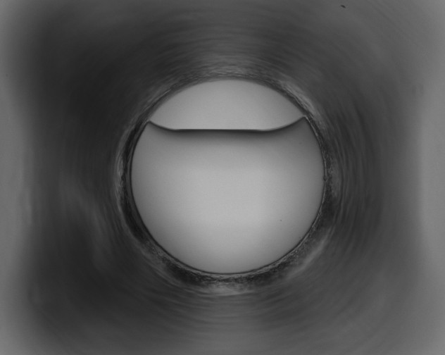 X0000099580490200805160749