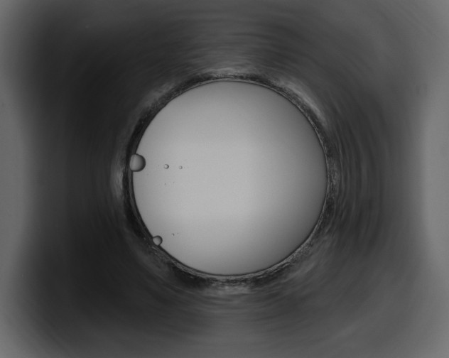 X0000099580491200805160749