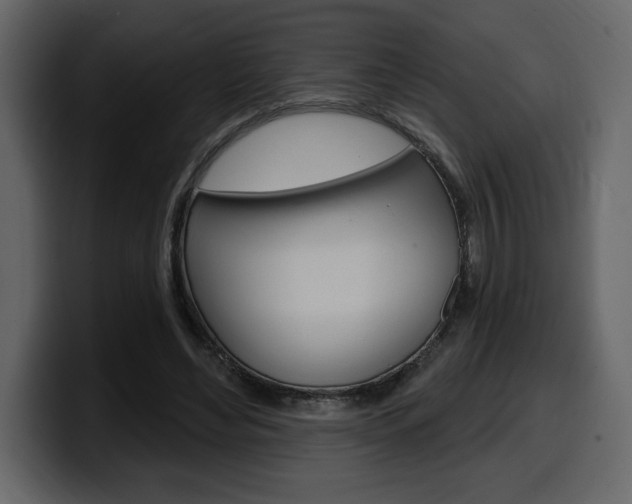 X0000099580492200805160749