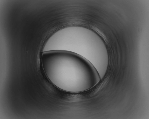 X0000099580493200805160749