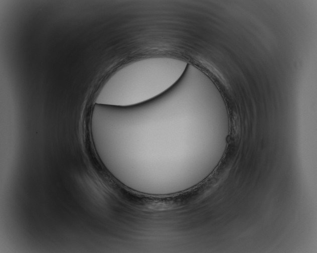 X0000099580494200805160749