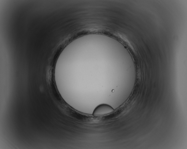 X0000099580495200805160749