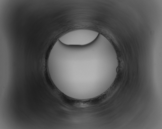 X0000099580498200805160749