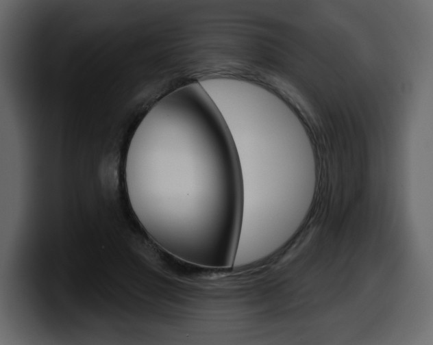 X0000099580501200805160749